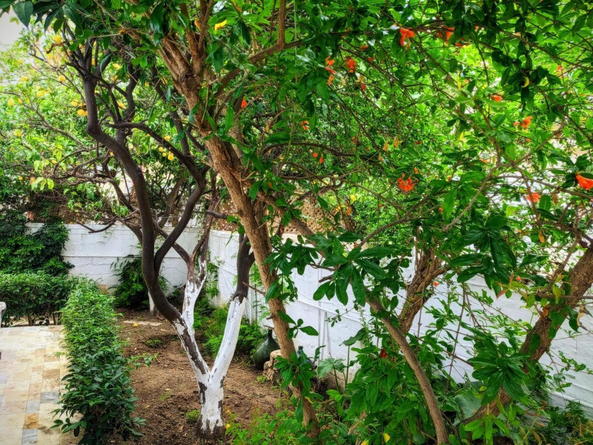 Rhodes City House With Garden In City Of Rhodes מראה חיצוני תמונה